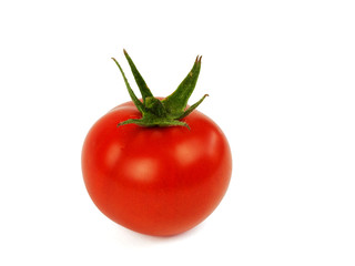 frische tomate