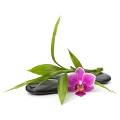 Spa and healthcare concept. Orchid and stones.