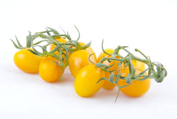 Yellow tomatoes