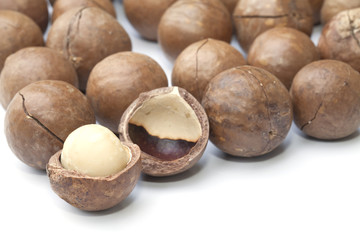 Macadamia fruit isolated on the white background