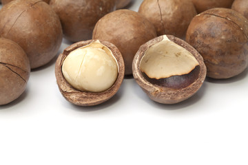 Macadamia fruit isolated on the white background