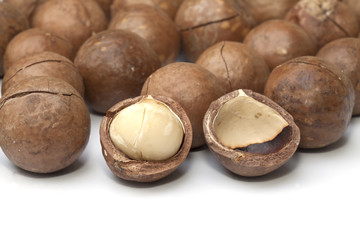Macadamia fruit isolated on the white background