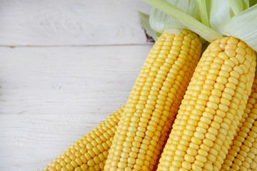 young corn on the cob on white boards