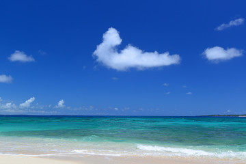 Fototapeta premium 南国沖縄の綺麗な珊瑚の海と夏空