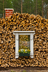 Das Fenster im Holz