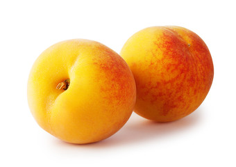 Two ripe yellow apricots