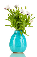 Bouquet of beautiful summer flowers in color vase, isolated