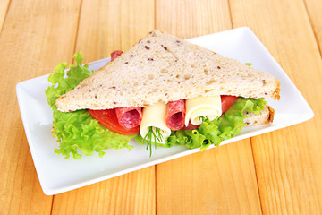Tasty sandwich with salami sausage and vegetables