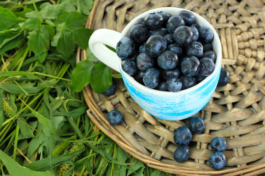 Blueberries in cup on wicker tray on grass