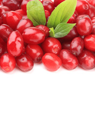 Fresh cornel berries isolated on white