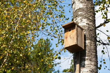 wooden birdhouse on birch