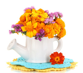 Bouquet of marigold flowers in watering can isolated on white