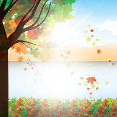 Autumn background with trees and falling leaves - 55503006