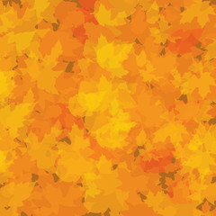 Autumn background with leaves - 55503248