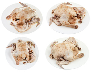 boiled chicken on plate
