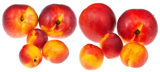 ripe nectarines