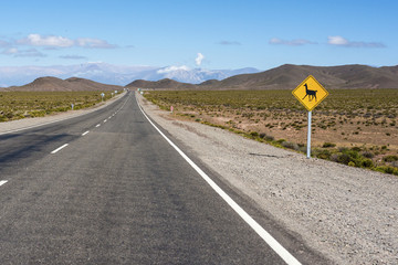 Los Cardones National Park in Salta, Argentina.