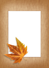 blank card with a single autumn leaf