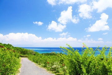 玉取崎展望台へ