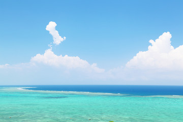 Fototapeta premium サンゴの海