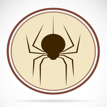 Pictures of brown spiders