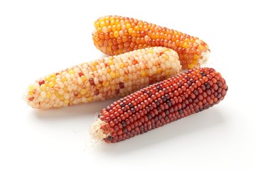 Indian corns © matin