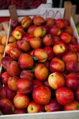 Fresh apples