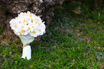 Wedding bouquet of white orchids.