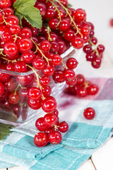 Fresh Red Currants