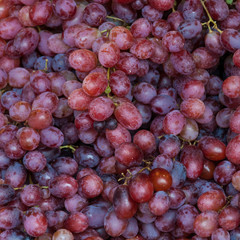 background freshly picked red grapes