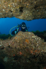 Fototapete bei efototapeten.de bestellen   