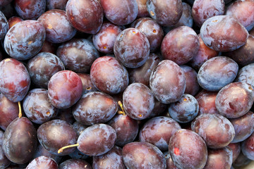 Plums