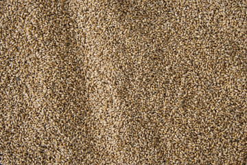 Grain background, top view