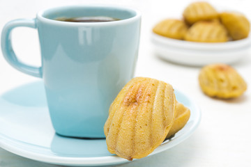 madeleine cookies and a cup of coffee on a white background