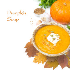 pumpkin soup with coriander and cream, isolated