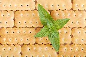 Cookies texture closeup