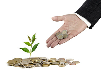 Investing to green business