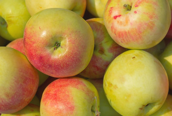 Apples background