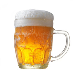 mug of beer on white background