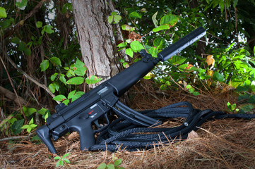 Assault rifle