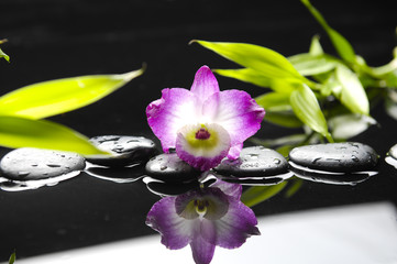 Pink orchid and bamboo leaf with therapy stones reflection