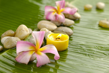 plumeria and therapy stones and banana leaf texture
