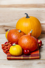 Small and big colorful pumpkins on wooden table. Autumn party