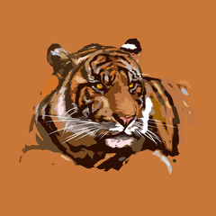 tiger