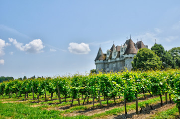 France, vineyard and the castle of Monbazillac in Dordogne