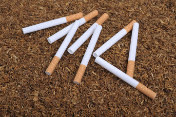 Tobacco (cigarette)