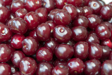 Fresh shiny cherries