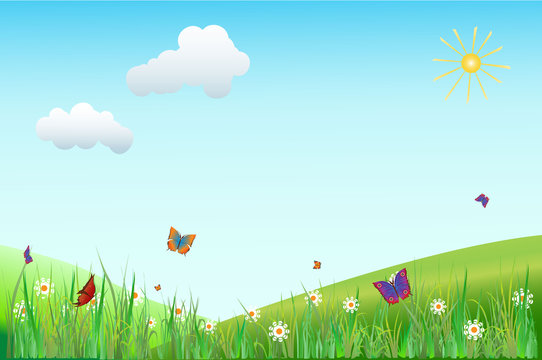 landscape with flowers and butterflies