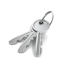 bunch of metallic keys on a white background