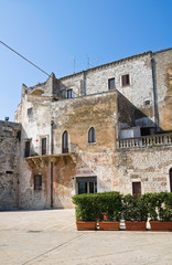 Fototapeta premium Castle of the Acquaviva of Aragon. Conversano. Puglia. Italy.